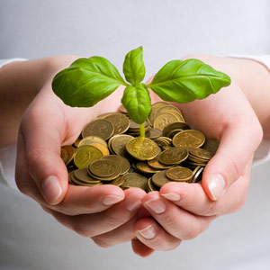 Planta floreciendo entre monedas